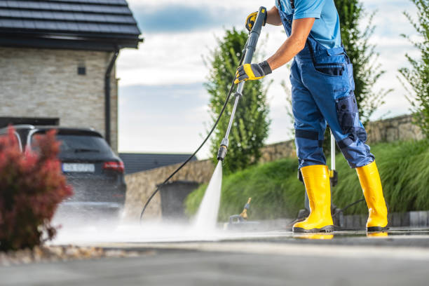 Best Roof Washing  in Benson, MN